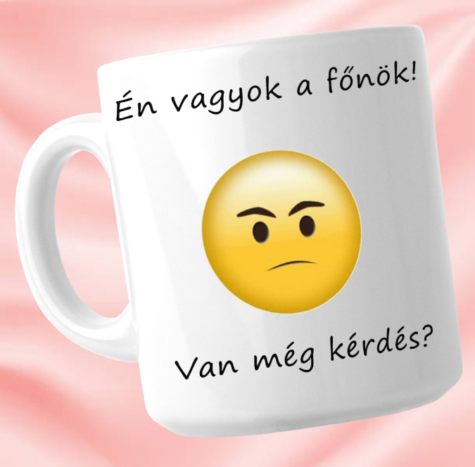 Év vagyok a főnök Bögre